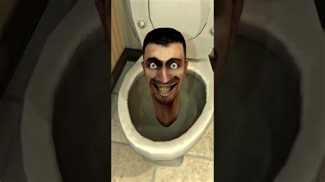 Toilet Videos